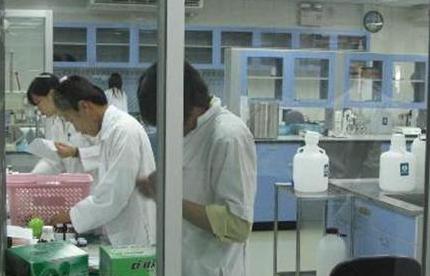 Laboratory team handling samples